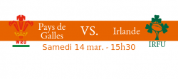 Walles V Irlande 6Nations