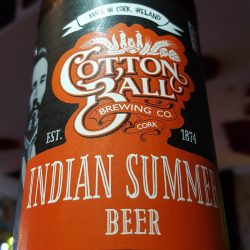 Cotton Ball_Indian Summer